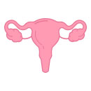 Reports From the Society of Gynecologic Oncology Annual Meeting on Women’s Cancer