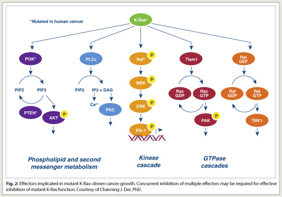 on the MAP kinase pathway, )