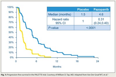 Fig. 1: Progression-free survival in the PALETTE trial.