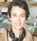 Jennifer H. Elisseeff, PhD