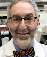 David H. Gutmann, MD, PhD